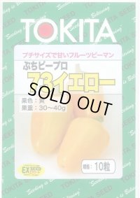 送料無料　[ピーマン]　ぷちピープロ　イエロー73　10粒　トキタ種苗(株)