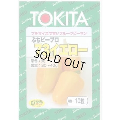 画像1: 送料無料　[ピーマン]　ぷちピープロ　イエロー73　10粒　トキタ種苗(株)