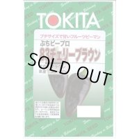 送料無料　[ピーマン]　ぷちピープロ83　チェリーブラウン　100粒　トキタ種苗(株)