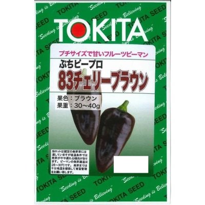 画像1: 送料無料　[ピーマン]　ぷちピープロ83　チェリーブラウン　100粒　トキタ種苗(株)