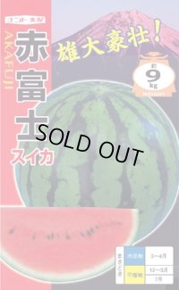 送料無料　[スイカ]　大玉スイカ　赤富士　7粒　ナント種苗(株)