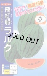 送料無料　[スイカ]　小玉スイカ(ラグビー型)　飛行船ラルク　7粒　ナント種苗(株)
