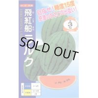 送料無料　[スイカ]　小玉スイカ(ラグビー型)　飛行船ラルク　7粒　ナント種苗(株)