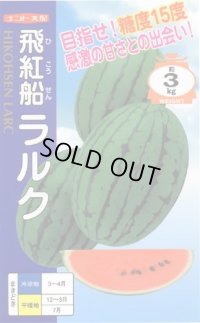 送料無料　[スイカ]　小玉スイカ(ラグビー型)　飛行船ラルク　7粒　ナント種苗(株)