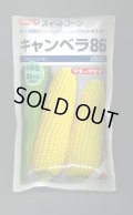 送料無料　[とうもろこし]　キャンベラ86　200粒　タキイ種苗(株)
