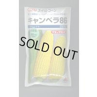 送料無料　[とうもろこし]　キャンベラ86　200粒　タキイ種苗(株)