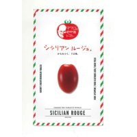 [トマト/マウロの地中海トマト]　シシリアンルージュ　8粒　（2024年30%増量）　