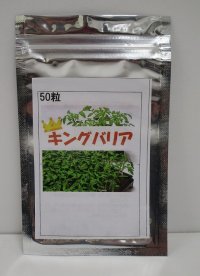送料無料　[台木/トマト用]　キングバリア　50粒　タキイ種苗(株)
