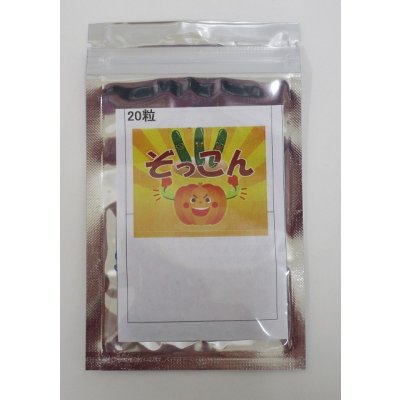 画像3: 送料無料　[台木/キュウリ用]　ぞっこん　20粒　(株)ときわ研究場