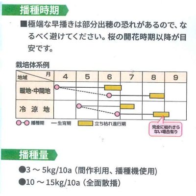 画像2: [緑肥]　オオムギ　てまいらずE　1kg　カネコ種苗(株）