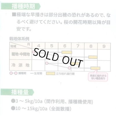 画像2: [緑肥]　オオムギ　てまいらずE　1kg　カネコ種苗(株)
