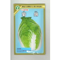 送料無料　[白菜]　菊錦　20ml　(株)トーホク