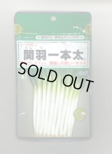 送料無料　[ねぎ]　関羽一本太　1dl　(株)トーホク