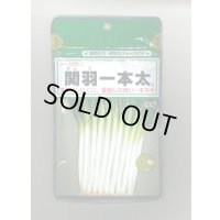 送料無料　[ねぎ]　関羽一本太　1dl　(株)トーホク