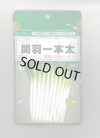 送料無料　[ねぎ]　関羽一本太　1dl　(株)トーホク