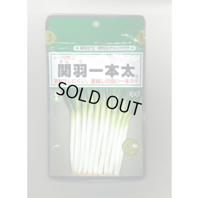 画像1: 送料無料　[ねぎ]　関羽一本太　1dl　(株)トーホク