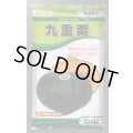 送料無料　[かぼちゃ]　九重栗　500粒　カネコ種苗（株）