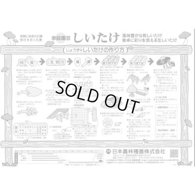 画像3: [きのこ菌]　しいたけ　620　(500個棒型)