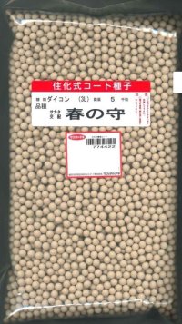 [大根]　春の守　ペレット5000粒　サカタ交配