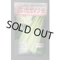 送料無料　[オクラ]　白い丸莢オクラ　1000粒　松永種苗(株)