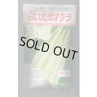 送料無料　[オクラ]　白い丸莢オクラ　1000粒　松永種苗(株)
