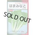 送料無料　[葉物]　はまみなとべかな　20ml　サカタのタネ(株)