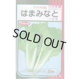 送料無料　[葉物]　はまみなとべかな　20ml　サカタのタネ(株)