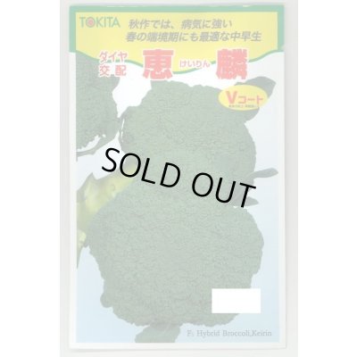 画像1: 送料無料　[ブロッコリー]　恵麟　小袋(およそ150粒)　トキタ種苗(株)