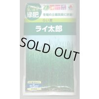 送料無料　[緑肥]　らい麦　ライ太郎　60ml　タキイ種苗(株)