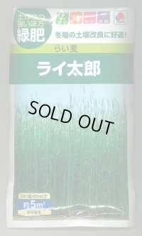 送料無料　[緑肥]　らい麦　ライ太郎　60ml　タキイ種苗(株)