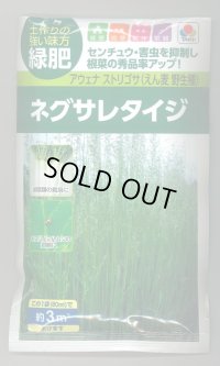 送料無料　[緑肥]　ネグサレタイジ　60ml　タキイ種苗(株)