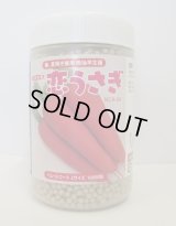 [人参]　恋うさぎ　コート1万粒　ナント種苗(株)