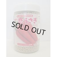 [人参]　恋うさぎ　コート1万粒　ナント種苗(株)
