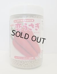 [人参]　恋うさぎ　コート1万粒　ナント種苗(株)