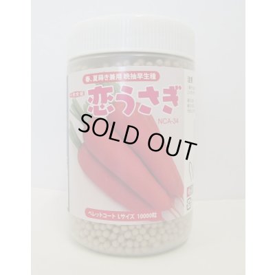 画像1: [人参]　恋うさぎ　コート1万粒　ナント種苗(株)