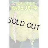 送料無料　[カリフラワー]　ドルチェリモーネ　0.5ml　小林種苗