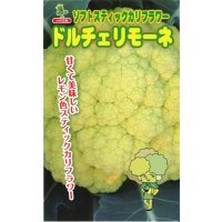 送料無料　[カリフラワー]　ドルチェリモーネ　0.5ml　小林種苗