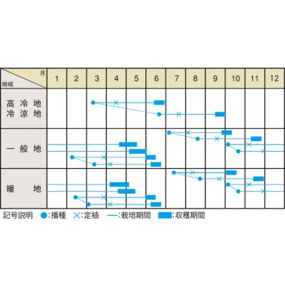 画像3: 送料無料　[キャベツ]　桜春EL　1ml　（株）大和農園