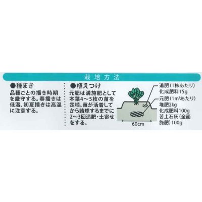 画像2: 送料無料　[キャベツ]　桜春EL　1ml　（株）大和農園