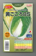送料無料　[白菜]　黄ごころ85　ペレット100粒　タキイ種苗(株)