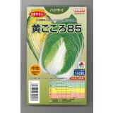 送料無料　[白菜]　黄ごころ85　ペレット100粒　タキイ種苗(株)