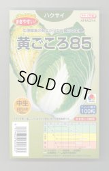 送料無料　[白菜]　黄ごころ85　ペレット100粒　タキイ種苗(株)