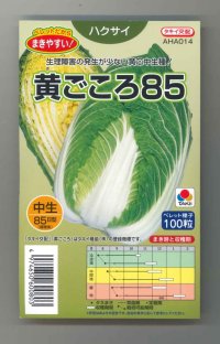 送料無料　[白菜]　黄ごころ85　ペレット100粒　タキイ種苗(株)