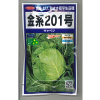 送料無料　[キャベツ]　金系201号　ペレット　100粒　(株)サカタのタネ　実咲PRO