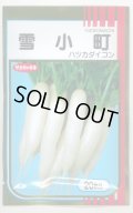 送料無料　[大根]　はつかだいこん　雪小町　20ml　(株)サカタのタネ