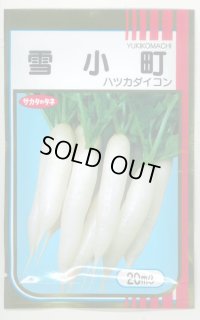 送料無料　[大根]　はつかだいこん　雪小町　20ml　(株)サカタのタネ