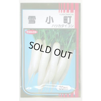 画像1: 送料無料　[大根]　はつかだいこん　雪小町　20ml　(株)サカタのタネ