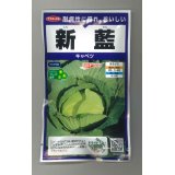 送料無料　[キャベツ]　新藍　ペレット　100粒　(株)サカタのタネ　実咲PRO