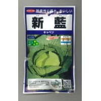 送料無料　[キャベツ]　新藍　ペレット　100粒　(株)サカタのタネ　実咲PRO