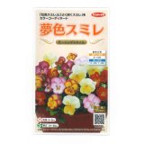 送料無料　花の種　パンジー　夢色スミレ　モーニングスマイル　約50粒　(株)サカタのタネ　実咲500（105173）